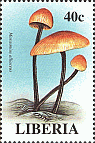 Briefmarke