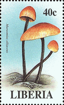 Briefmarke