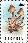 Briefmarke