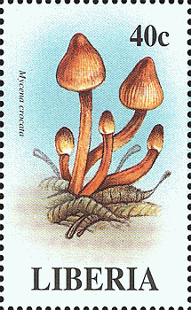 Briefmarke