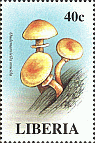 Briefmarke