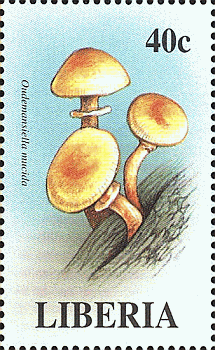 Briefmarke