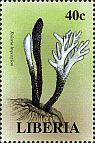 Briefmarke