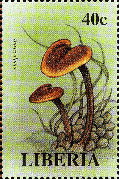 Briefmarke