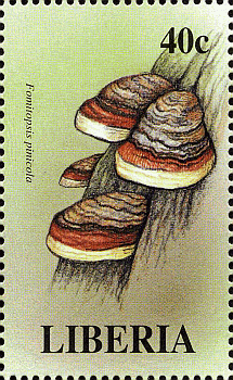 Briefmarke