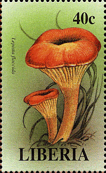 Briefmarke