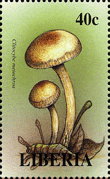 Briefmarke
