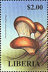 Briefmarke