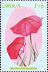 Briefmarke