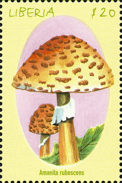 Briefmarke