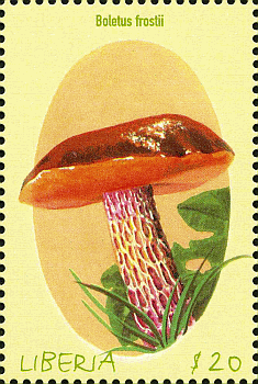 Briefmarke