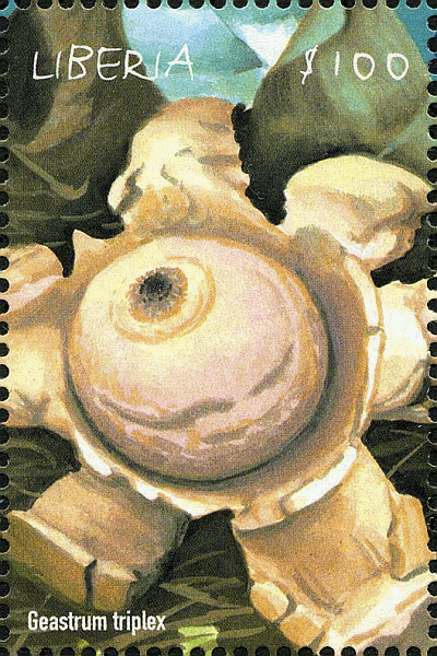 Briefmarke