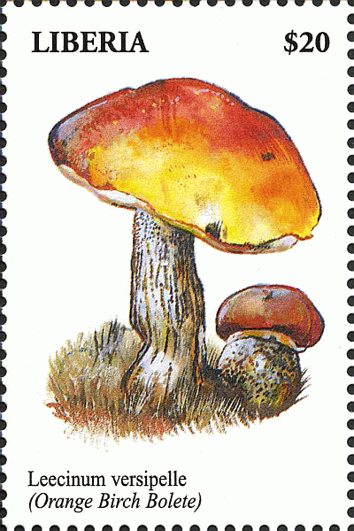 Briefmarke