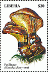 Briefmarke