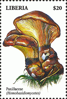 Briefmarke