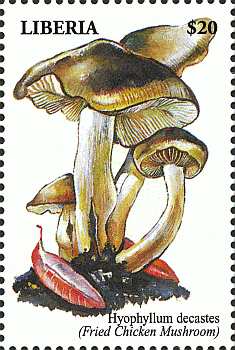 Briefmarke