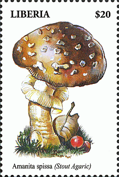 Briefmarke