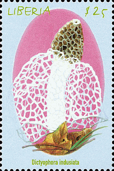 Briefmarke