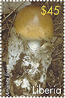 Briefmarke