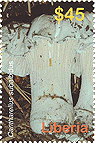 Briefmarke