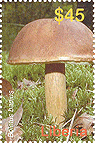 Briefmarke