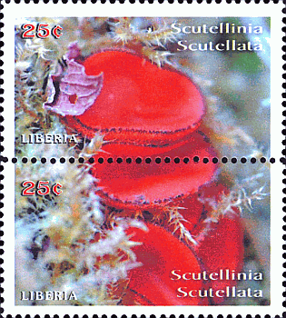 Briefmarke