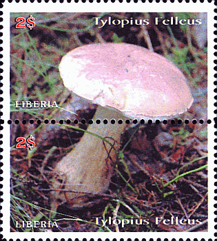 Briefmarke
