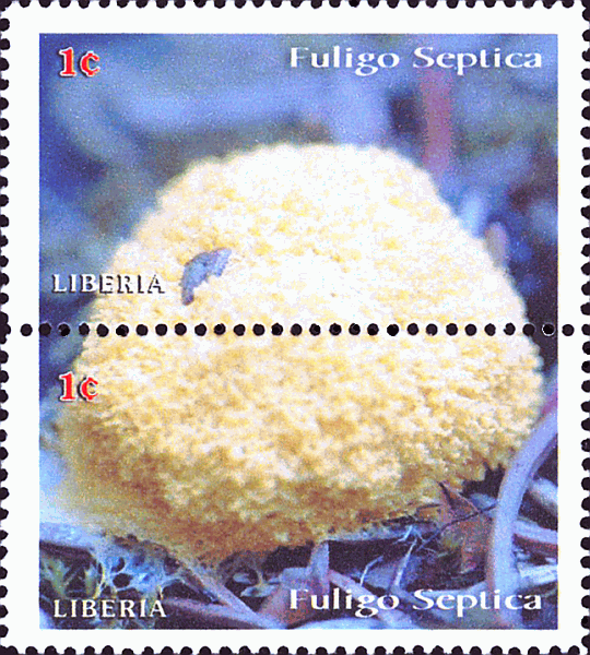 Briefmarke