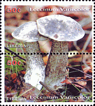 Briefmarke