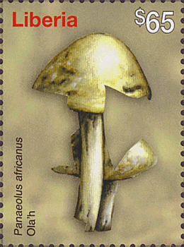 Briefmarke
