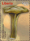 Briefmarke