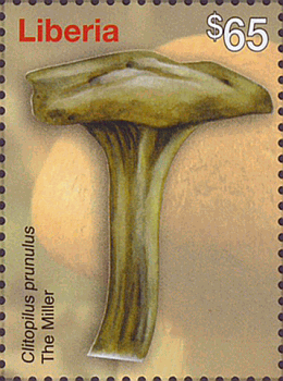 Briefmarke
