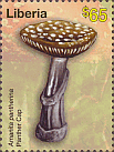 Briefmarke