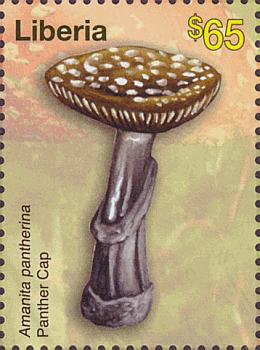 Briefmarke