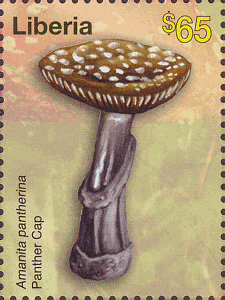Briefmarke