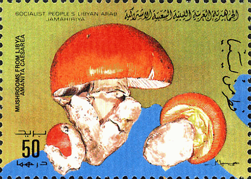 Briefmarke