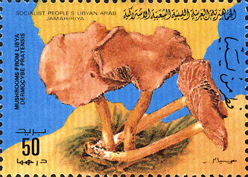 Briefmarke