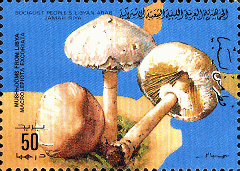 Briefmarke