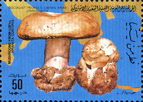 Briefmarke