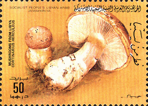 Briefmarke