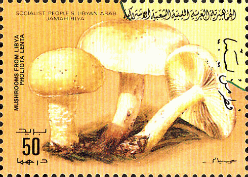 Briefmarke