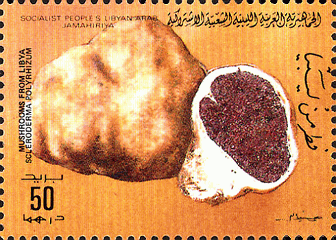 Briefmarke