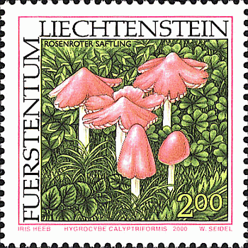 Briefmarke