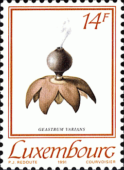 Briefmarke