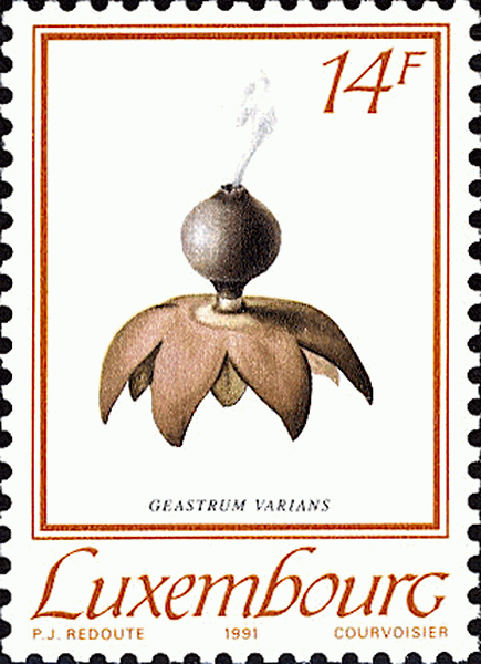 Briefmarke