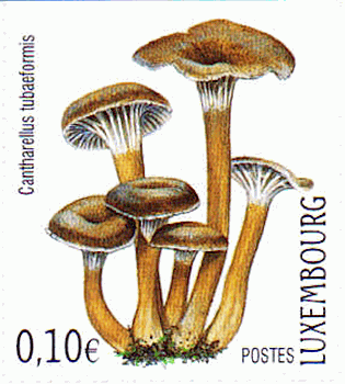 Briefmarke