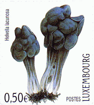 Briefmarke