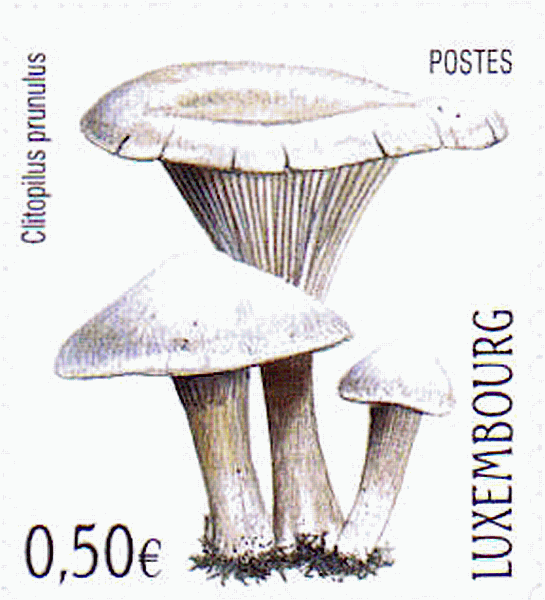 Briefmarke