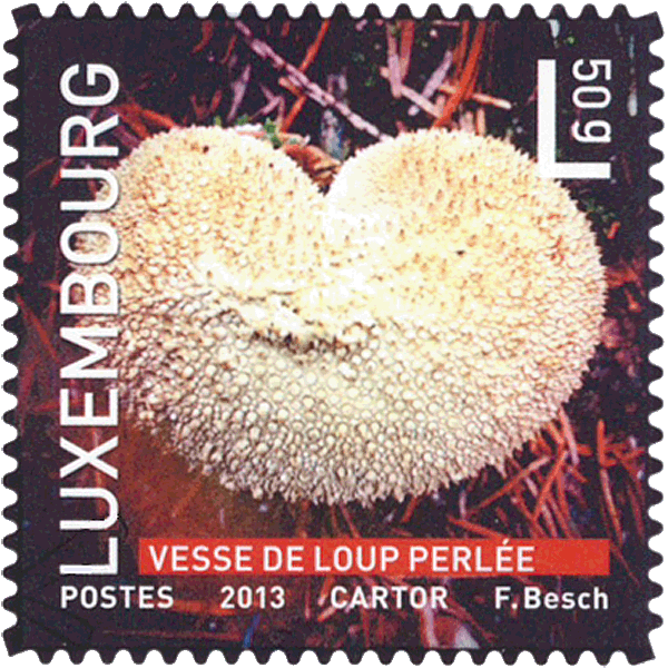 Briefmarke
