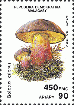 Briefmarke